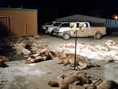 20150110_211448.jpg (174.15 KiB) Viewed 46234 times Saturday night checkins